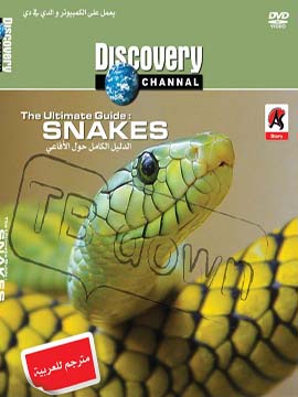 The Ultimate Guide: Snakes