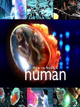 How to Build a Human