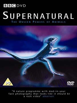 Supernatural: The Unseen Powers of Animals