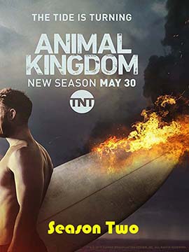 Animal Kingdom - The Complete Season Two