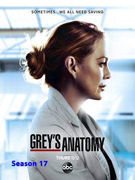 Grey's Anatomy - The Complete Season 17