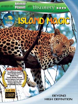 Wild Asia Island Magic