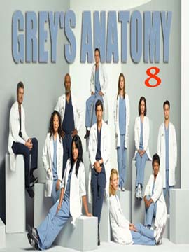 Grey's Anatomy - The Complete Season Eight