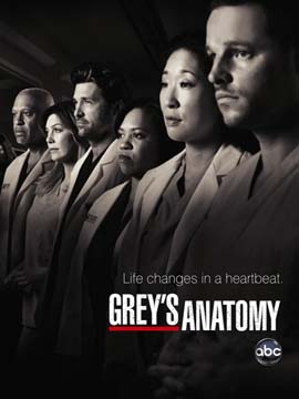 Grey's Anatomy - The Complete Season 9