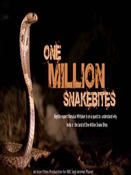 One Million Snake Bites