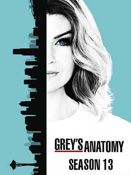 Grey's Anatomy - The Complete Season 13