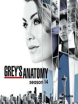 Grey's Anatomy - The Complete Season 14