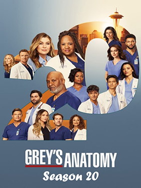 Grey's Anatomy - The Complete Season 20